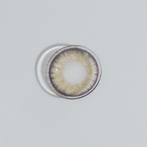 Barbie Holiday Brown