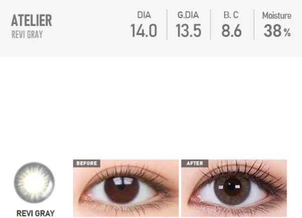 Barbie Revi Gray